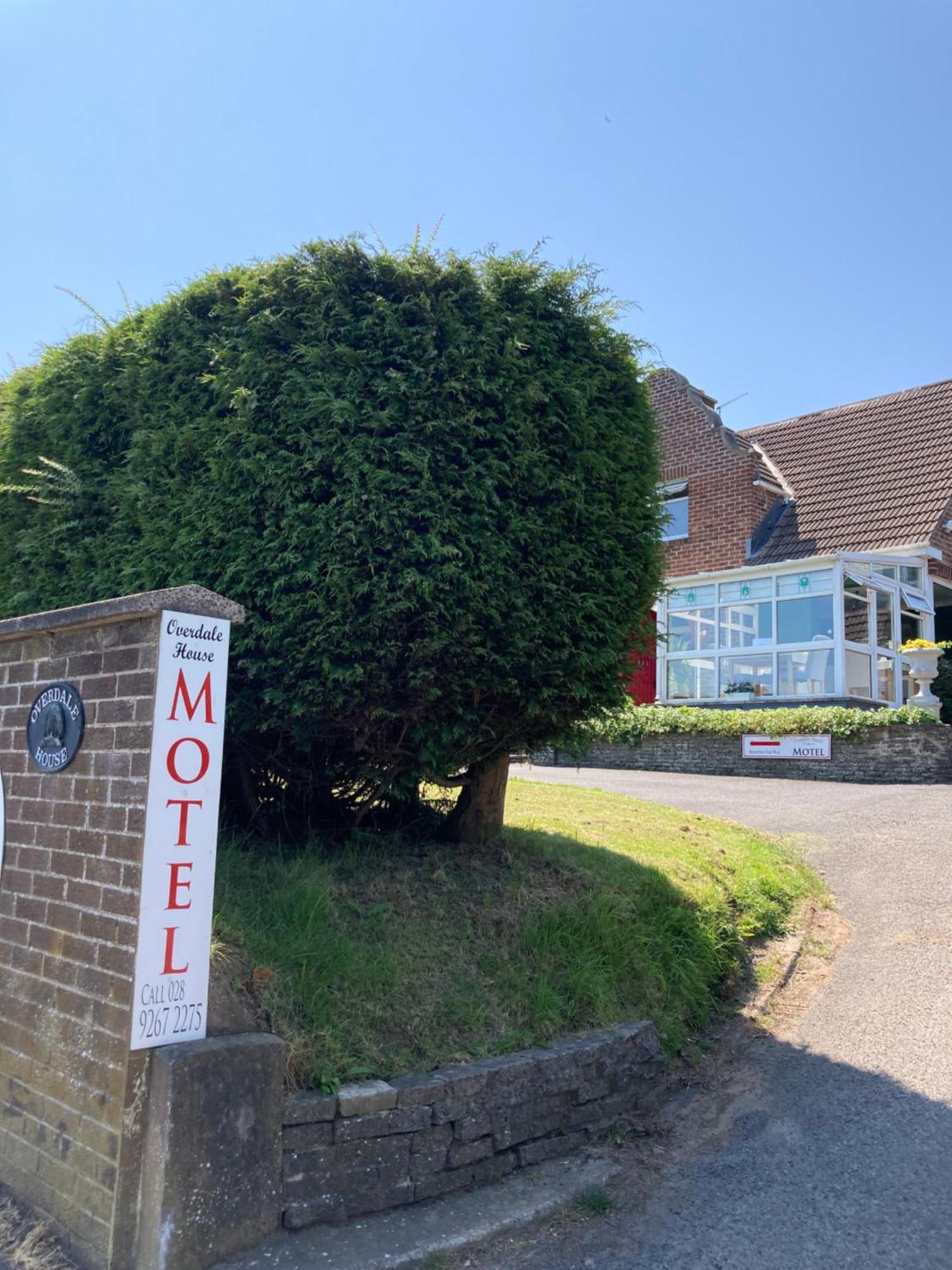 Overdale Motel Lisburn Zewnętrze zdjęcie