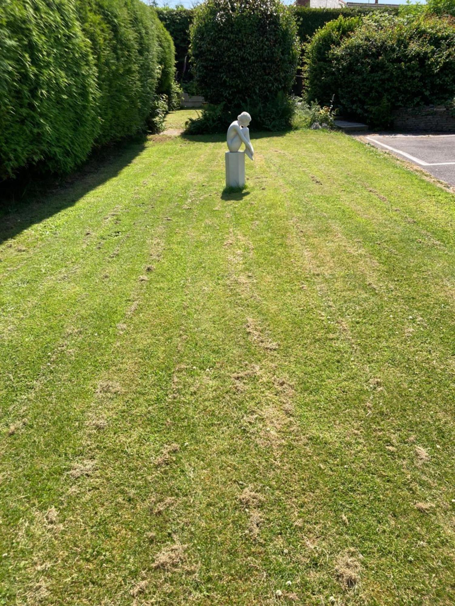 Overdale Motel Lisburn Zewnętrze zdjęcie
