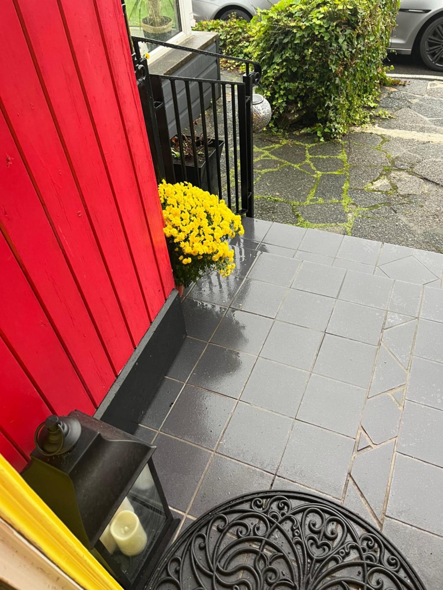 Overdale Motel Lisburn Zewnętrze zdjęcie